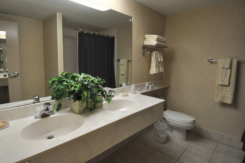 Hillside Inn Madison Extérieur photo